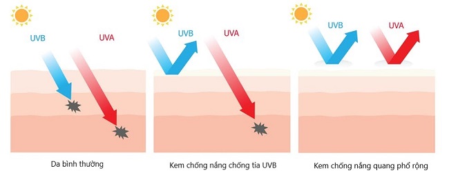 lựa chọn kem chống nắng có quang phổ rộng