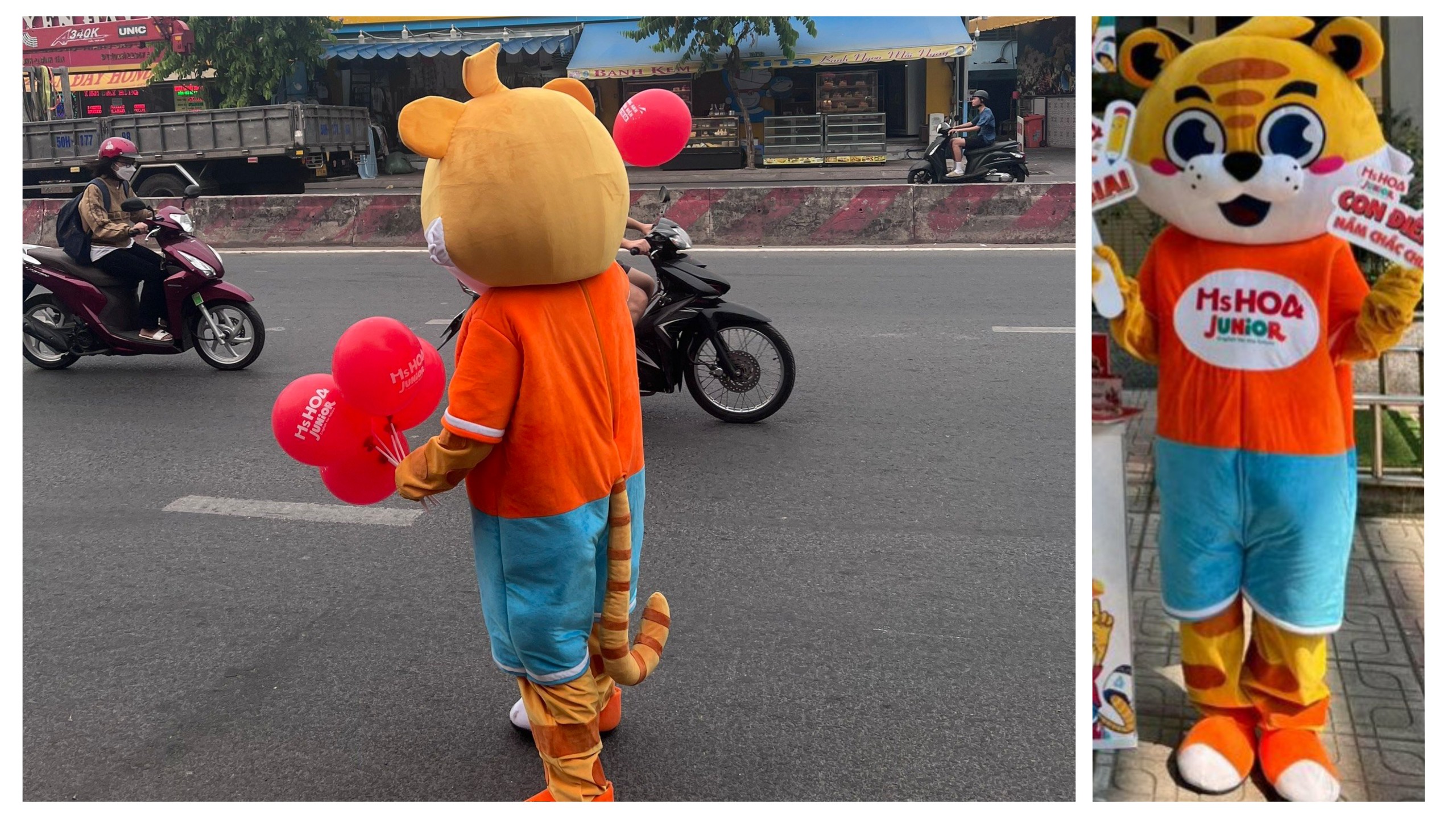 mẫu mascot ms hoa junior