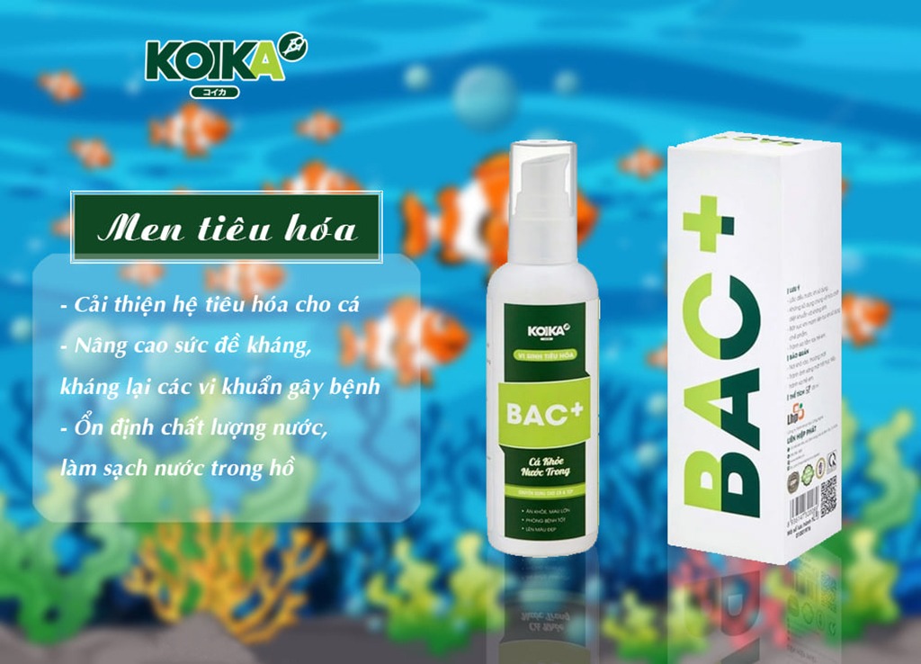 men vi sinh tiêu hóa koika bac+