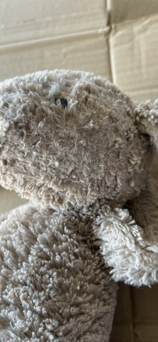 gấu bông jellycat tự giặt lông bị cháy vón