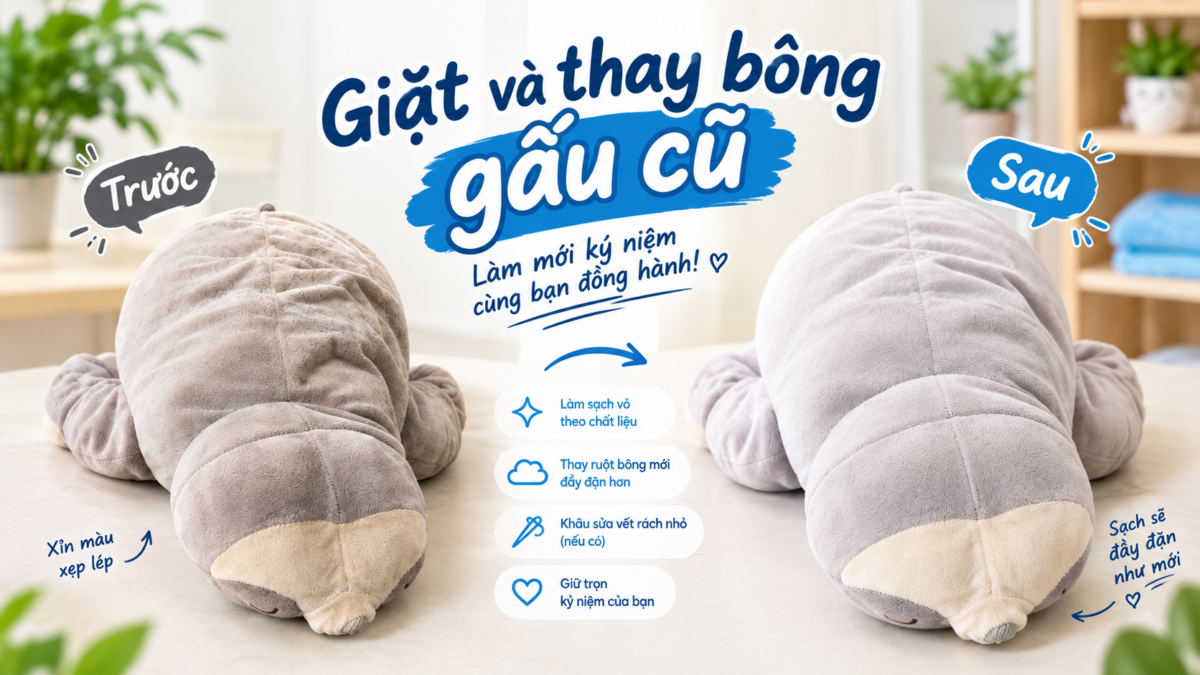 dịch vụ giặt và thay bông gấu cũ Hà Nội